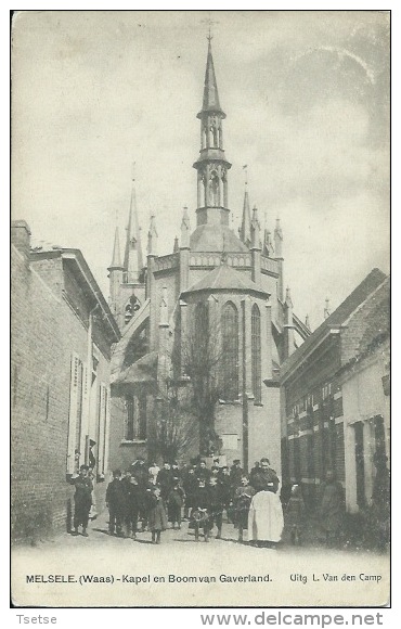 Melsele ( Waas ) - Kapel En Boom Van Gaverland - Geanimeerd - 190?  ( Verso Zien ) - Beveren-Waas