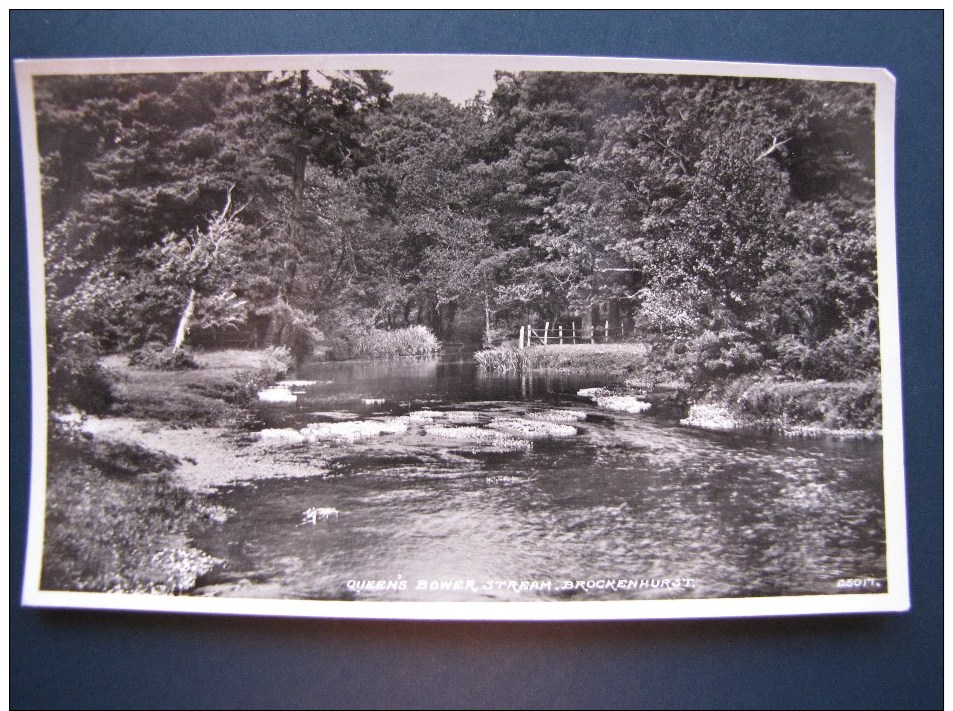 Queen´s Bower Stream, Brockenhurst. Vintage 1950 Postcard - Other & Unclassified