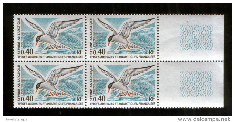 TAAF 103 ** Vogel  ; 4er Block / FSAT Mnh Bird (1976) - Sonstige & Ohne Zuordnung