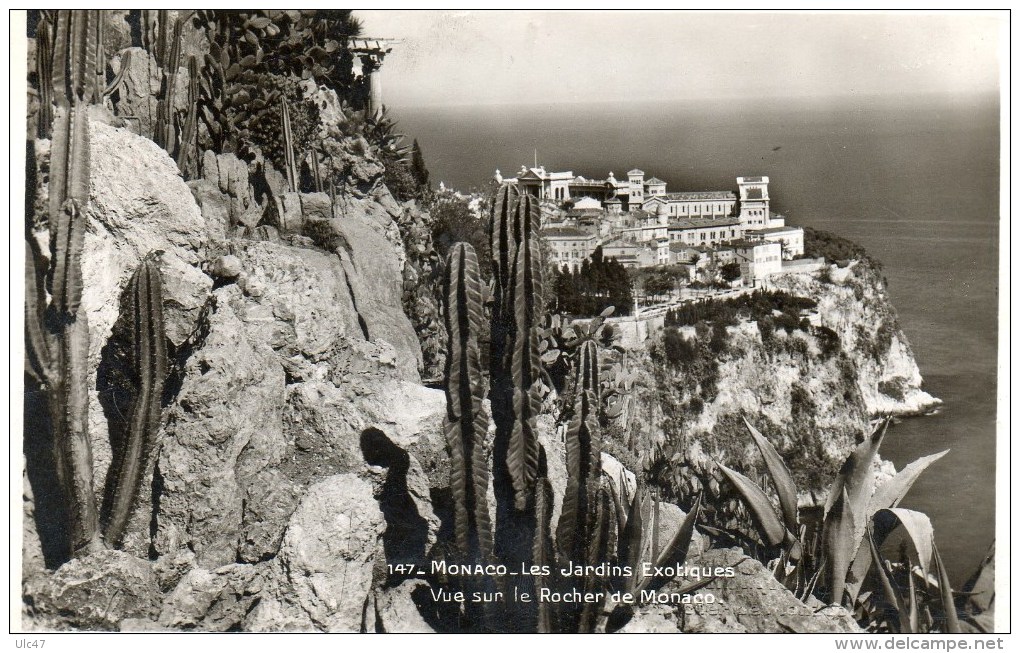 - MONACO. - Les Jardins Exotiques. Vue Sur Le Rocher De Monaco. - Cpsm Petit Format, Très Bon état  - - Jardin Exotique