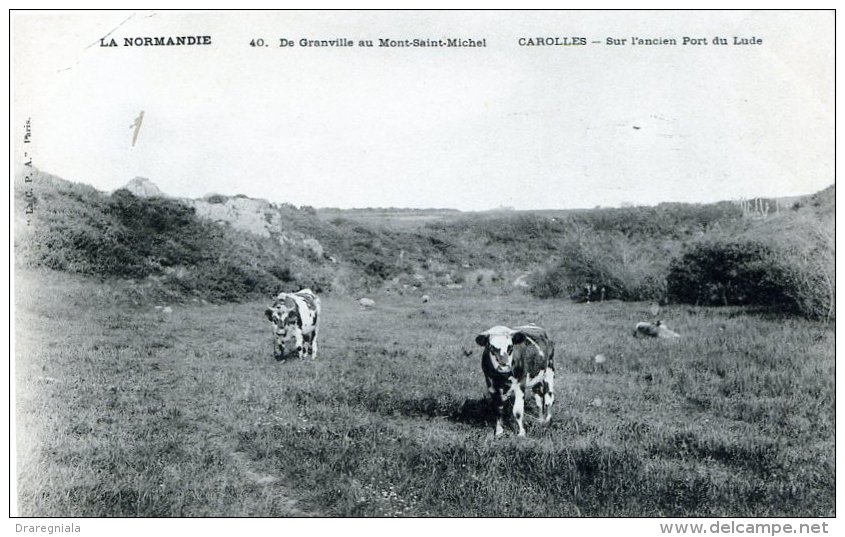 De Granville Au Mont-Saint-Michel - Carolles - Sur L'ancien Port Du Lude - Autres & Non Classés