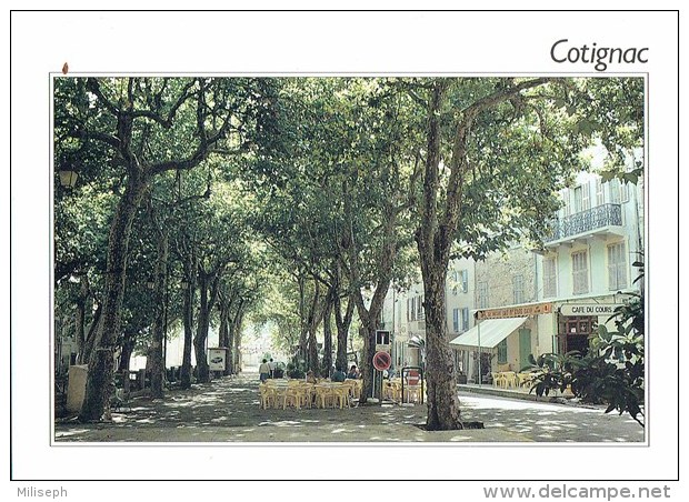 COTIGNAC - Le Cours Ombrage De Platanes - 1999 -            (3560) - Cotignac