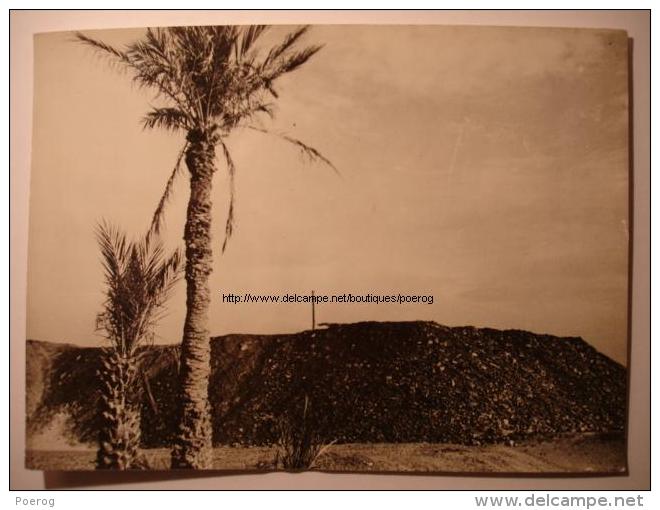 PHOTO 1941 - ALGERIE KENADZA KENADSA MINE MINES CENTRE CHARBONNIER HOUILLERES STOCK - BORGE Tirage D'époque 18X13 - Places