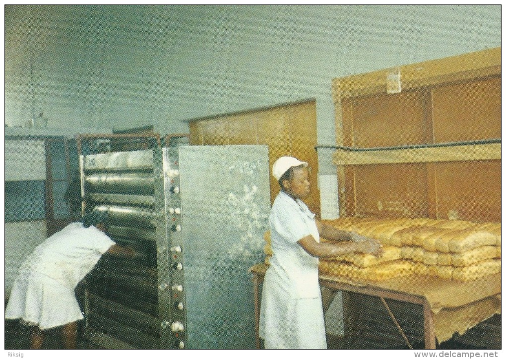 Bread  Factory  ( Bakery )  In Mozambique  -  Danish Card.  B-552 - Mozambique