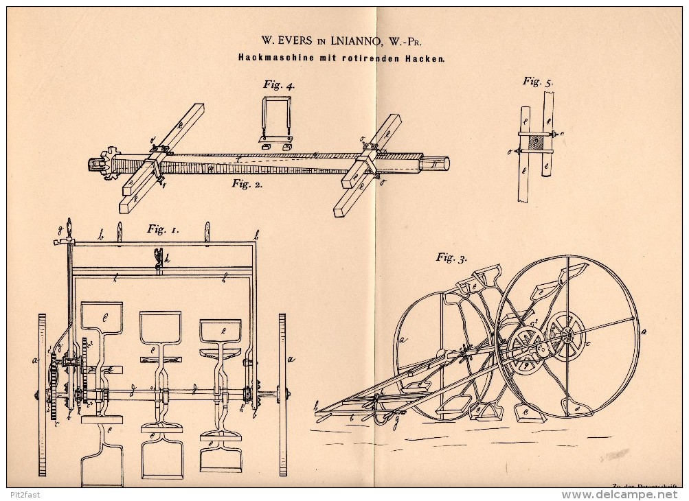 Original Patentschrift - W. Evers In Lianno / Lniano I. Westpr. , 1895 , Hackmaschine , Landwirtschaft , Agrar , Linne ! - Maschinen