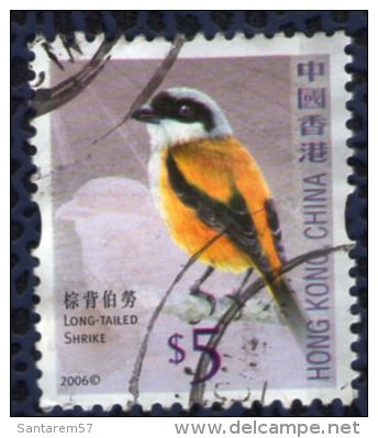 Hong Kong 2006 Oblitéré Used Stamp Oiseau Bird Long Tailed Shrike Pie Grièche Schach - Usati