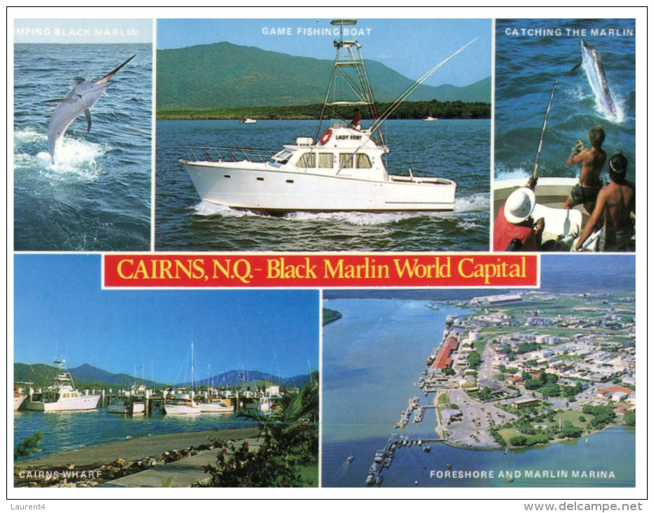 (PH 24) Australia - QLD - Cairns Black Marlin Fishing - Cairns