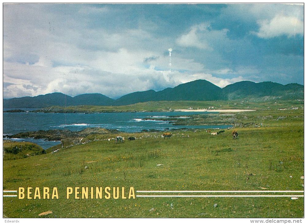 Beara Peninsula, Co Cork, Ireland Postcard Used Posted To UK 1993 Stamp John Hinde #2 - Cork