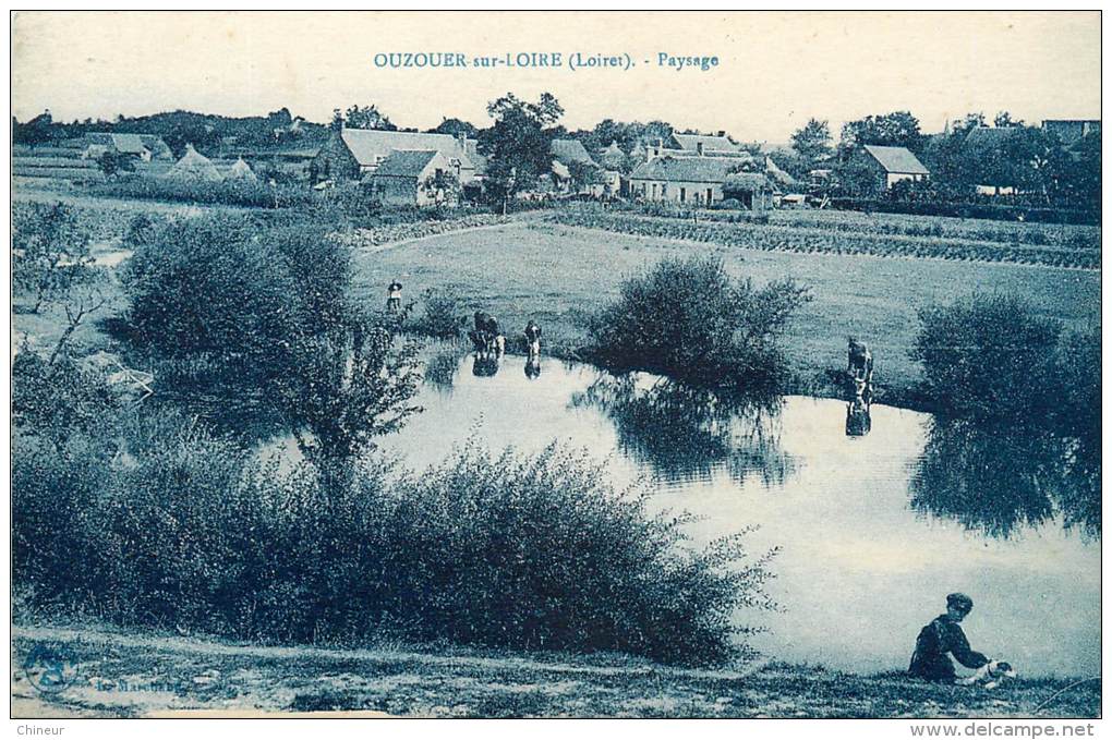 OUZOUER SUR LOIRE PAYSAGE - Ouzouer Sur Loire