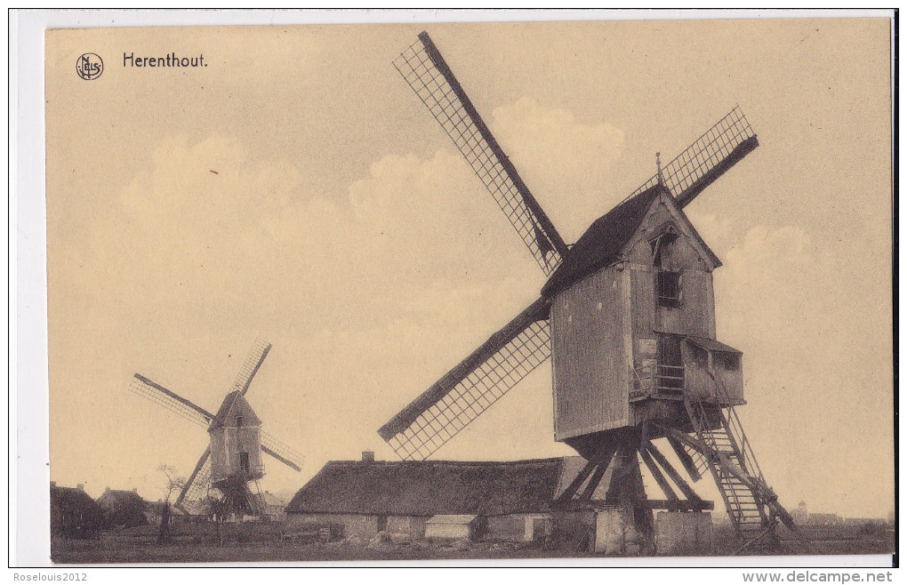 HERENTHOUT : Moulins - Molen - Herenthout