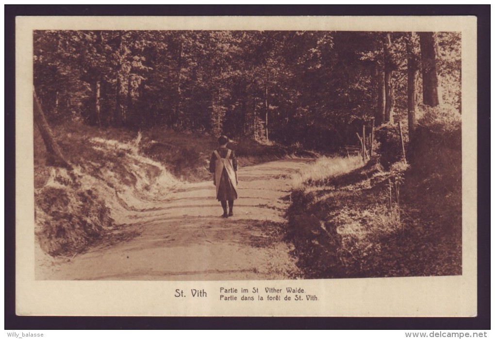 SAINT VITH - SANKT VITH - "Partie Dans La Forêt De St Vith"  // - Saint-Vith - Sankt Vith