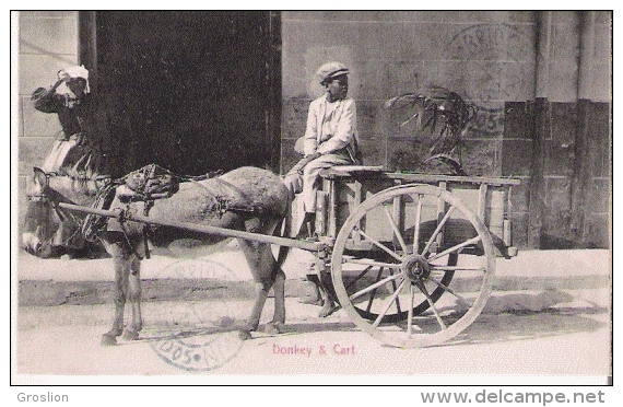 BARBADOS  DONKEY AND CART 1916 - Barbades