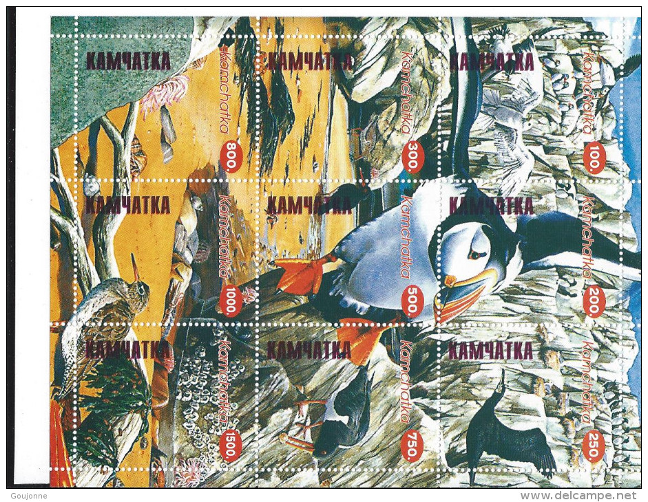 KAMCHATK     Faune  Oiseaux - Other & Unclassified