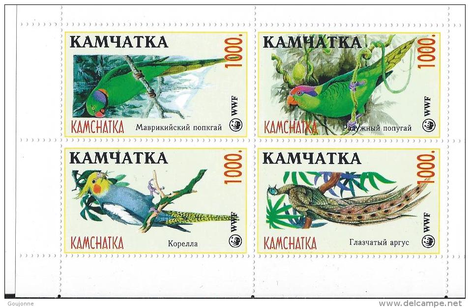 KAMCHATK     Faune Oiseaux - Altri & Non Classificati