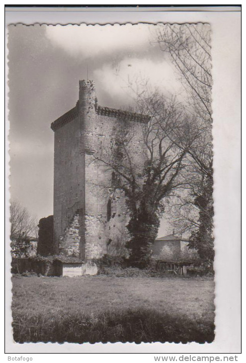 CPM LESPARRE, LA TOUR DE L HONNEUR En 1952!! - Lesparre Medoc