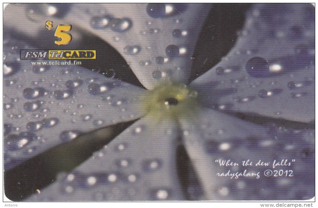MICRONESIA - Flower, FSM Tel Prepaid Card $5, Used - Micronésie