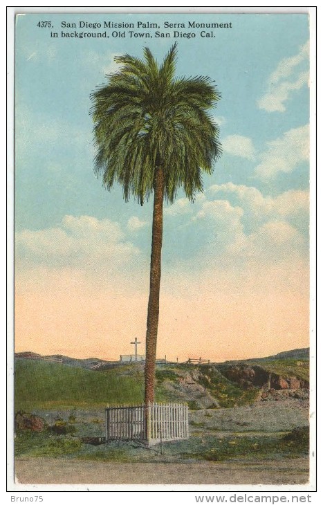 San Diego Mission Palm, Serra Monument In Background, Old Town, SAN DIEGO, Cal. - Palmier - Trees