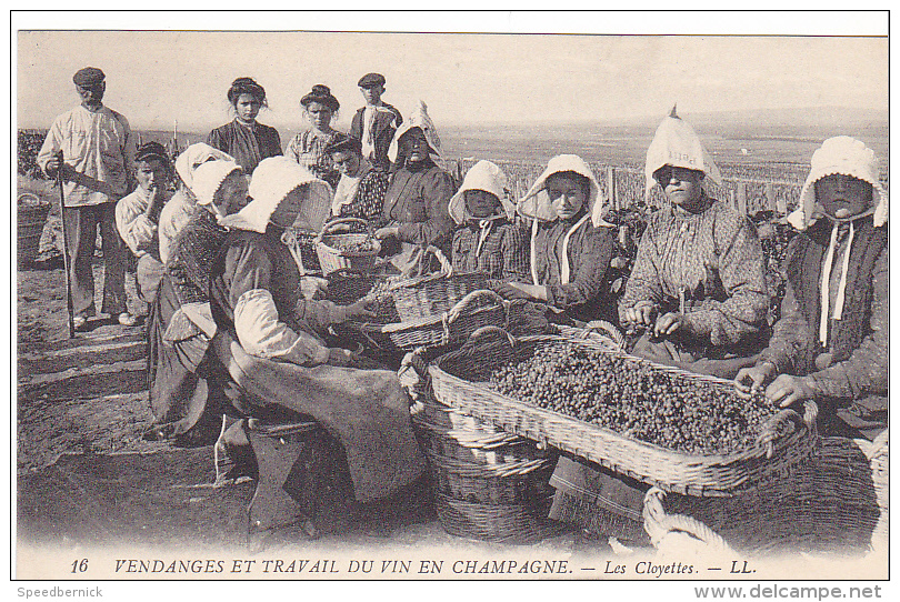 23496 Vendanges Et Travail Du Vin En Champagne Les Cloyettes  -LL 16 France Raisin - - Vignes