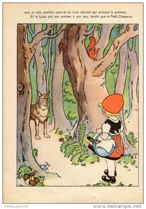 LIVRE JUNIOR  CONTES DE PERRAULT  *Le Petit Chaperon Rouge *Le Chat Botté  EDITIONS BIAS  No373  1950 - Contes