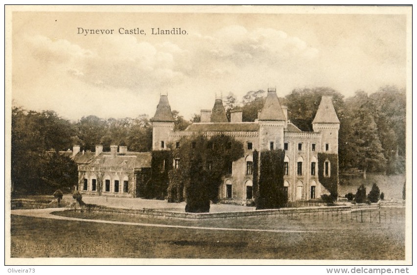 LLANDILO, Dynevor Castle - 2 Scans - Caernarvonshire
