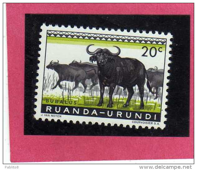 RUANDA URUNDI 1959 1961 FAUNA CAPE BUFFALOES ANIMAL ANIMALE BUFALO DEL CAPO CENT. 20c USATO USED OBLITERE' - Usati