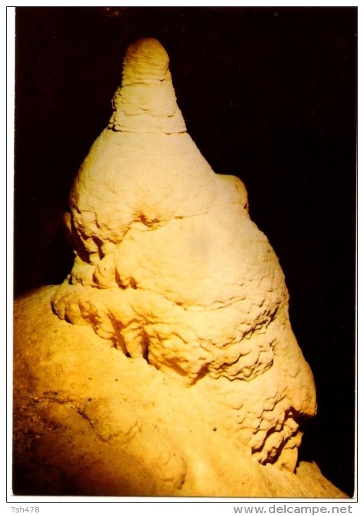 47-----GROTTES DE FONTIROU--profil Royal--voir 2 Scans - Other & Unclassified