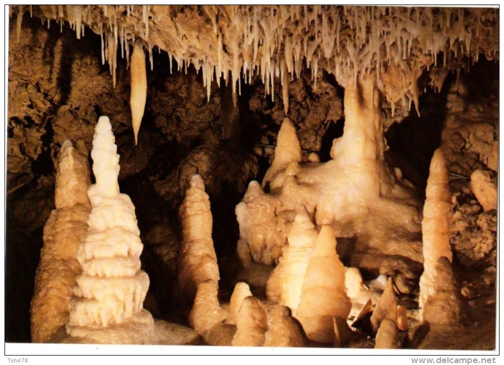 47----GROTTES DE FONTIROU--salle De La Pièce Montée--voir 2 Scans - Autres & Non Classés