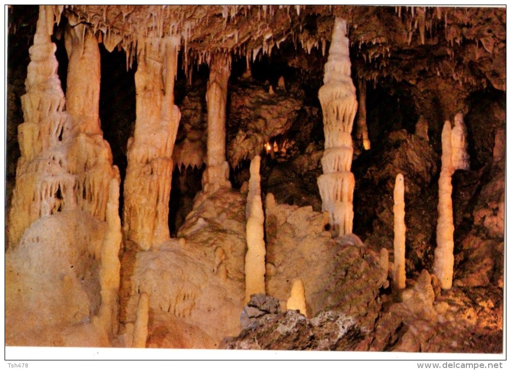 47-----GROTTES DE FONTIROU--salle Du Temple Hindou--voir 2 Scans - Autres & Non Classés