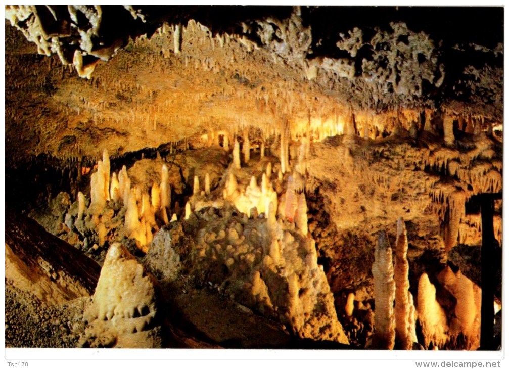 47----GROTTES DE FONTIROU--salle Des Minarets--voir 2 Scans - Other & Unclassified