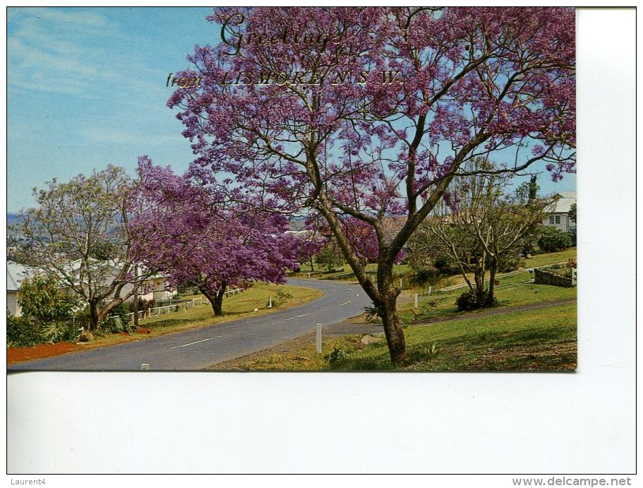 (PH 23) Australia - NSW - Lismore Jacarandas - Northern Rivers