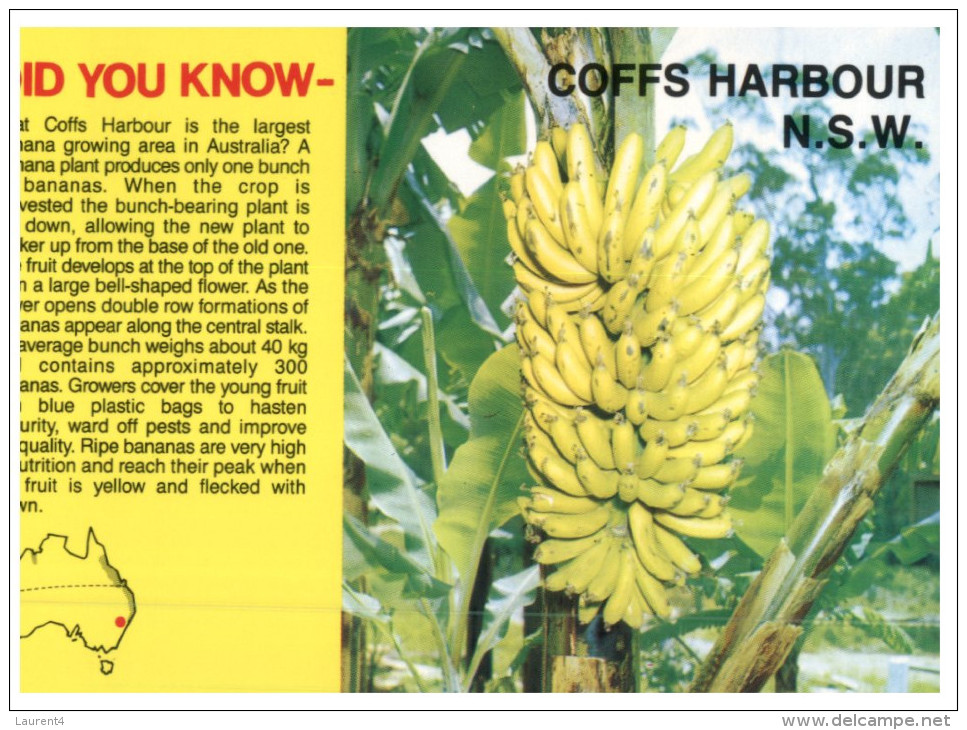 (PH 23) Australia - NSW - Coffs Harbour Did You Know Bananas - Coffs Harbour