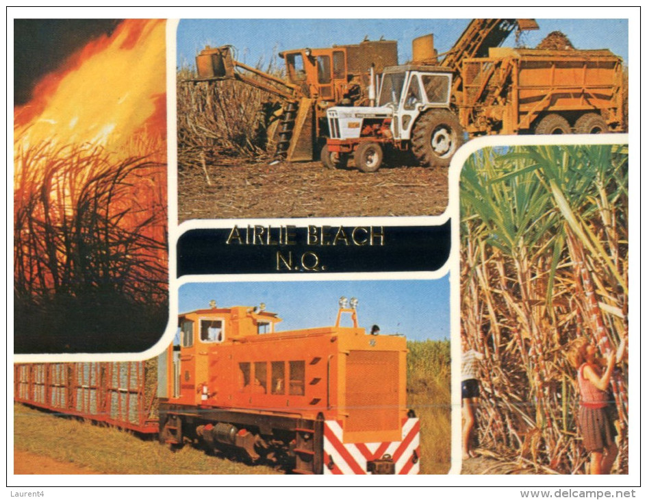 (PH 23) Australia - QLD - Sugar Cane Harvest - Outback