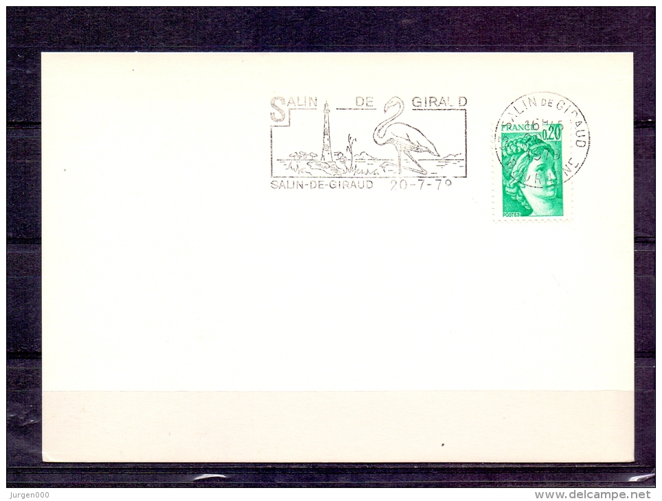 France  - Salin De Giraud 20/7/1979 (RM4279) - Flamingo's