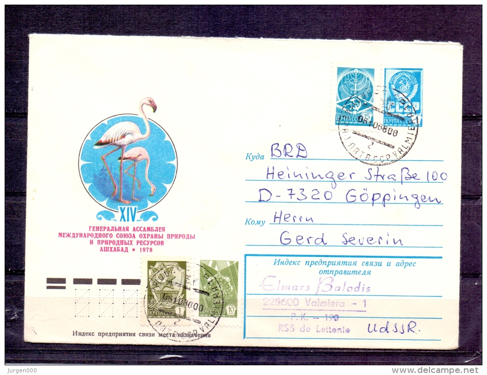 Noyta CCCP -  10/8/1980 (RM4283) - Flamants