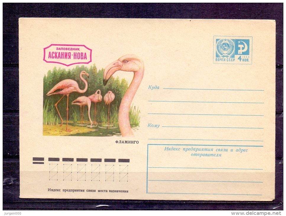 Noyta CCCP -    (RM4284) - Flamingo