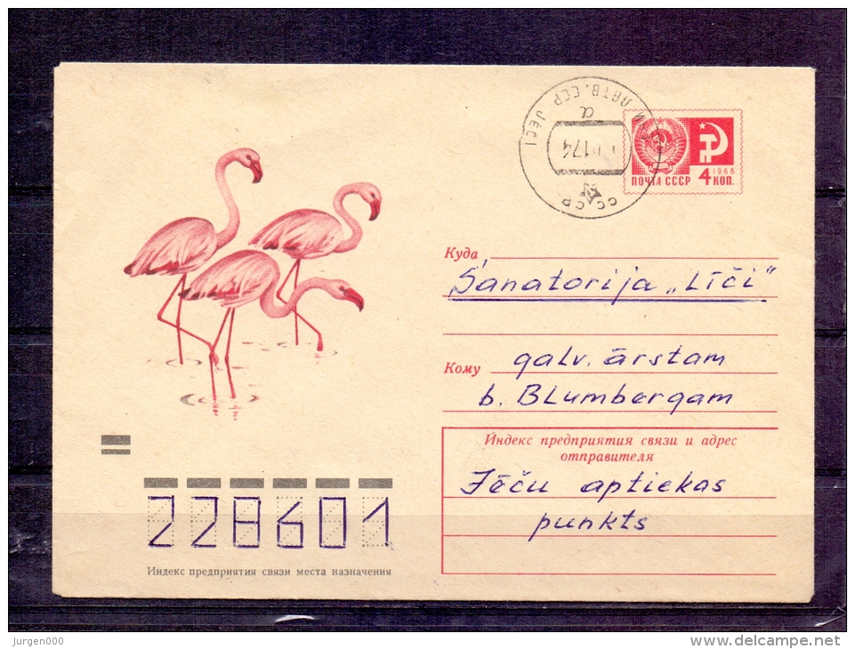 Noyta CCCP -    (RM4285) - Flamingo