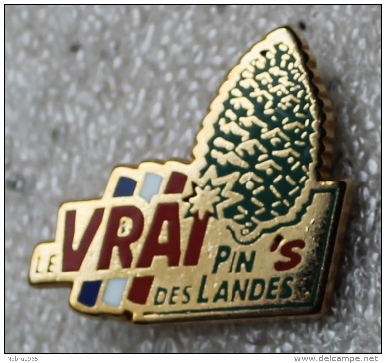 Pin´s LE VRAI PIN'S DES LANDES.superbe Zamak CORNER - Arthus Bertrand