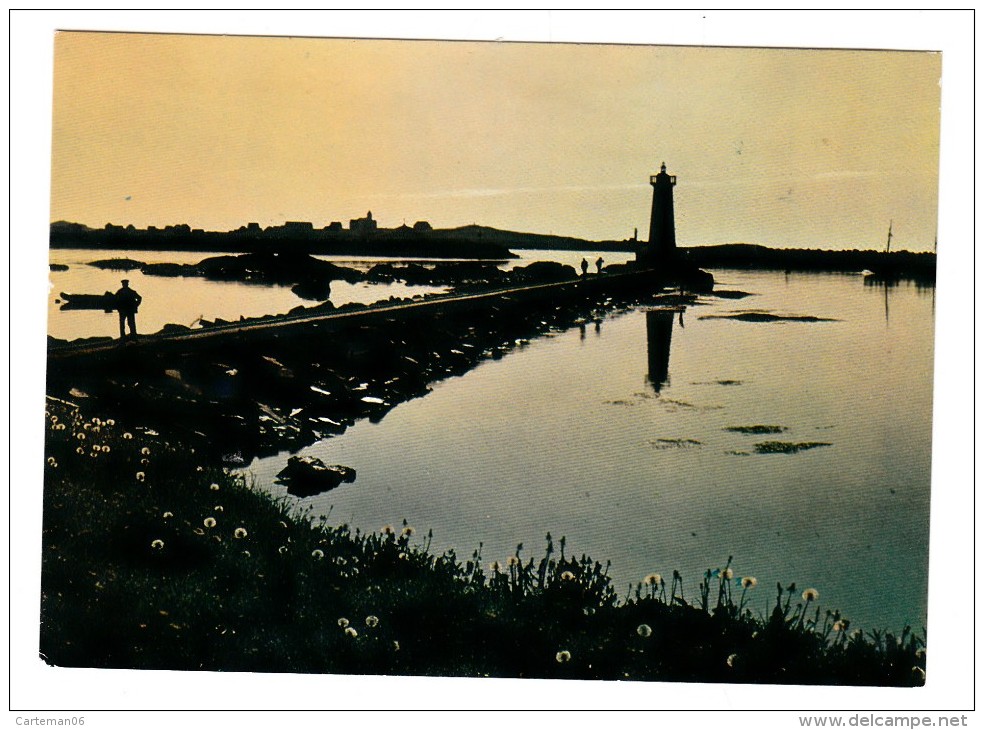 Saint Pierre Et Miquelon - La Pointe Aux Canons - Editeur: Combier N° 2 - Saint-Pierre-et-Miquelon