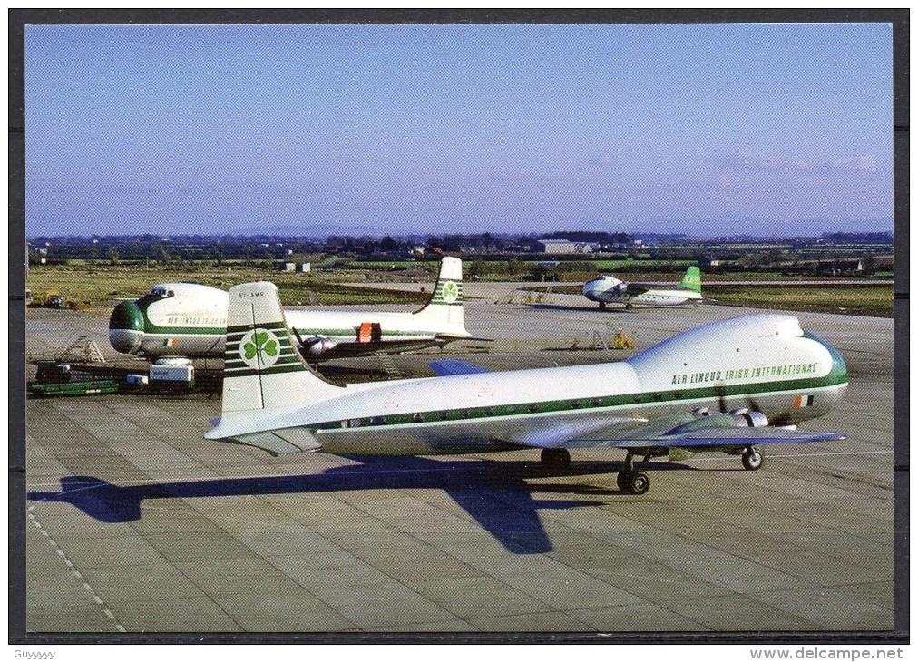 Carte Postale - Carvair ATL 98 - Aer Lingus - Gatwick 1969 - Neuve - 1946-....: Moderne