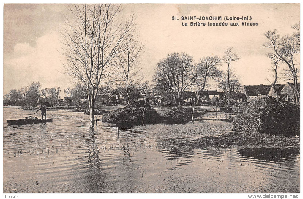 ¤¤  -   31  -  SAINT-JOACHIM  -   La Brière Inondée Aux Vinces    -  ¤¤ - Saint-Joachim