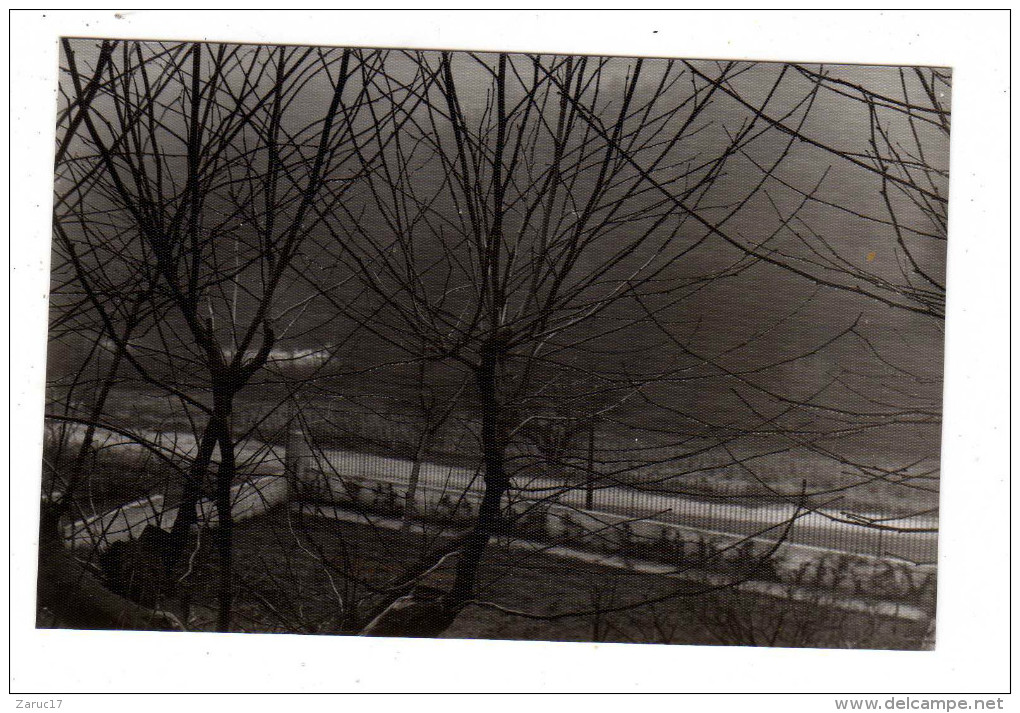 VRAIE PHOTO ARGENTIQUE Du Jardin à La Campagne Cloture - Lieux