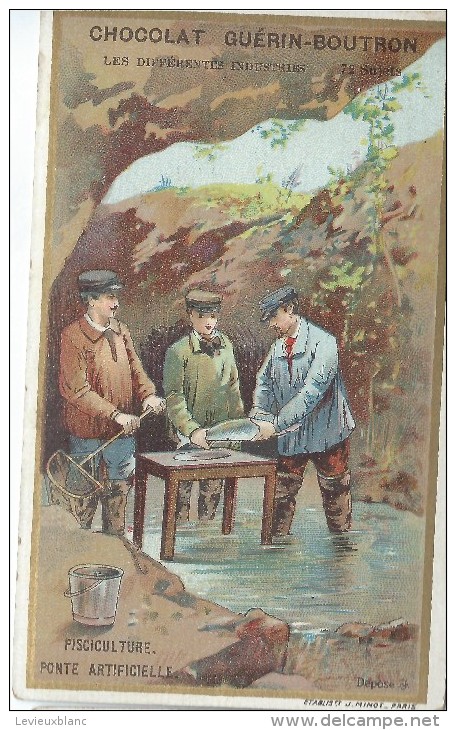 Les Différentes Industries/Pisciculture/ J Minot / /Paris/Vers 1900    IM636 - Guérin-Boutron