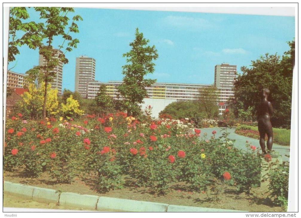 Frankfurt A.d. Oder - Botanischer Garten    -   Foto - Lehmann - Frankfurt A. D. Oder