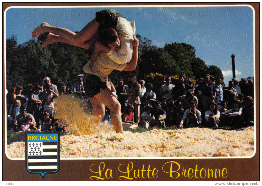 Carte Postale Sports Lutte  La Lutte  Bretonne Trés Beau Plan - Lutte