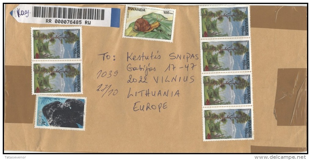 RWANDA Brief Postal History Envelope Air Mail RW 001 Forest Trees Snails Gorilla Fauna Animals - Autres & Non Classés