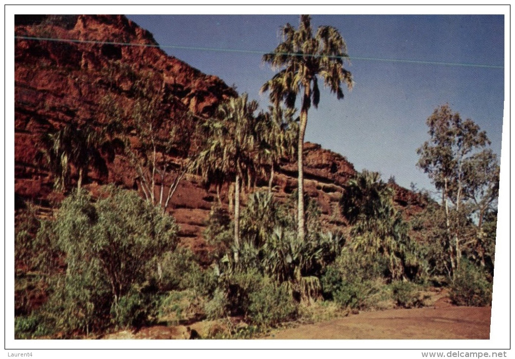 (PH 33) RTS Or DLO Postcard - Australia - NT - Palm Valley - The Red Centre