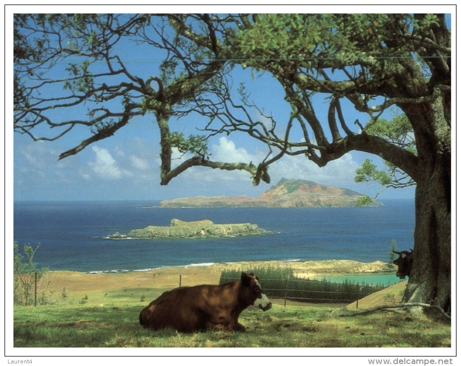 (PH 33) RTS Or DLO Postcard - Australia - Norfolk, Nepean And Philip Islands - Norfolk Island