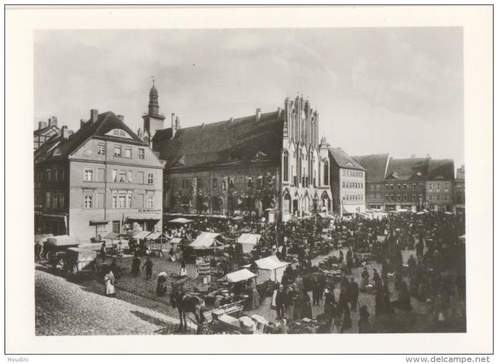 Frankfurt A.d. Oder - Rathaus Mit Marktplatz 1894 - Frankfurt A. D. Oder