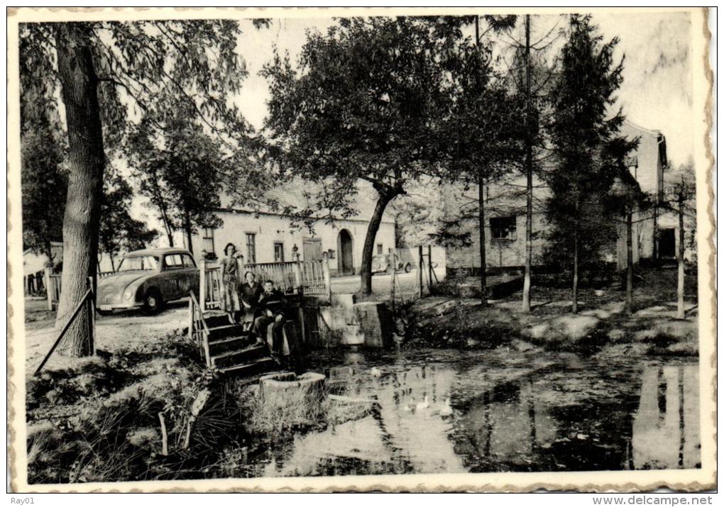 BELGIQUE - LIMBOURG - MAASEIK - OPOETEREN - Dorne Hoeve Schans. - Maaseik