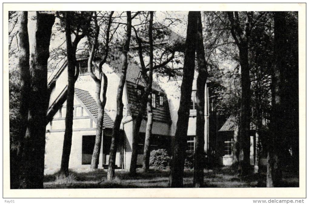 BELGIQUE - ANVERS - MALLE - WESTMALLE - Heibrand Buitenheen Van Chirrojeugd. - Malle